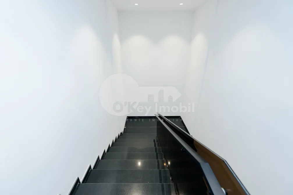 Oficiu, Buiucani, GHENADIE IABLOCIKIN