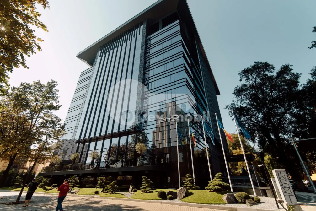 Oficiu, Centru, ȘTEFAN CEL MARE