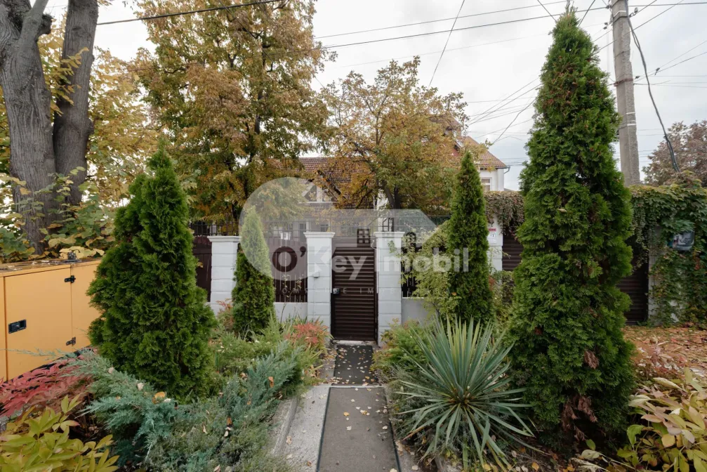 Spațiu comercial, Telecentru, VALERIU CUPCEA