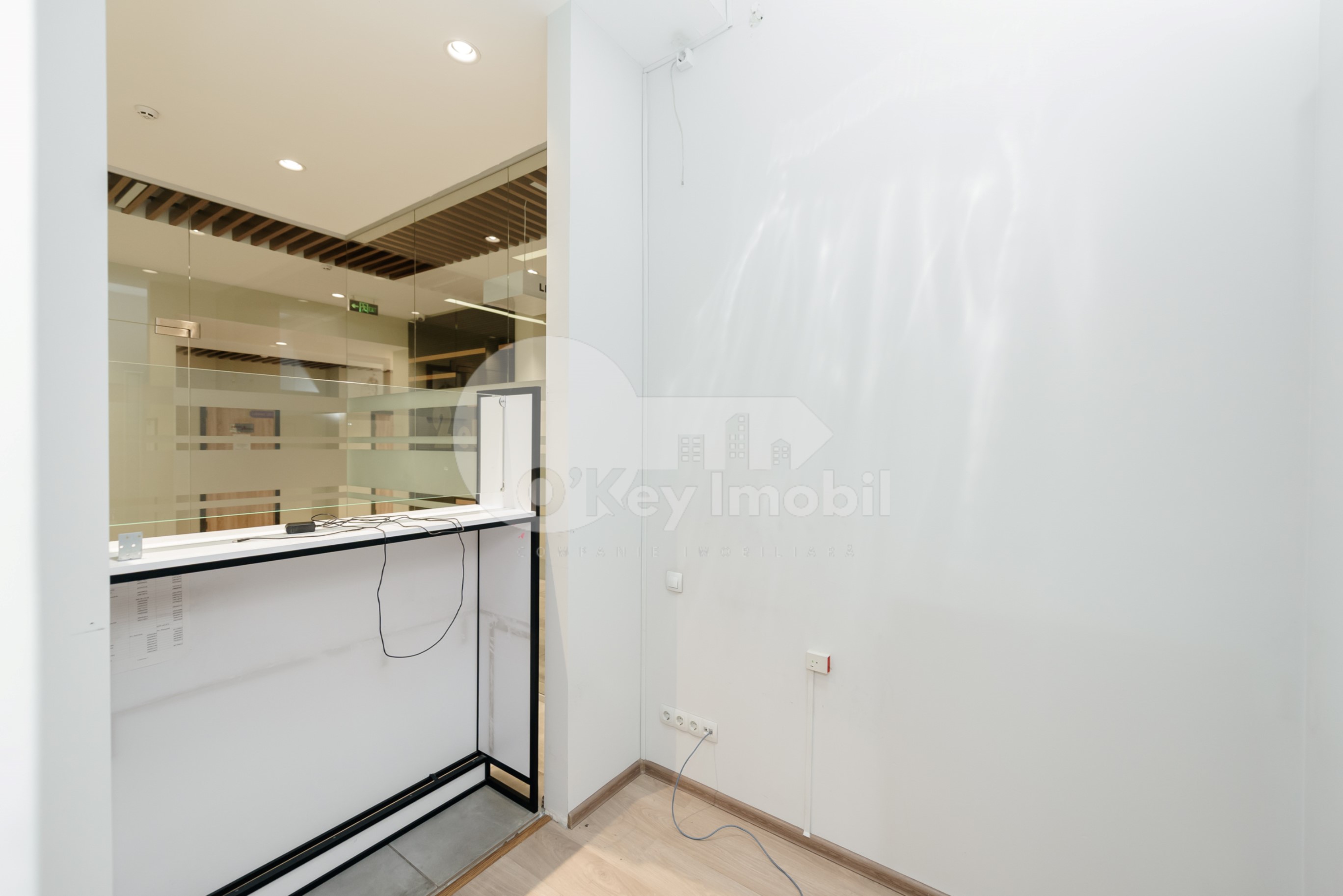 Oficiu, Botanica, NIKOLAI ZELINSKI