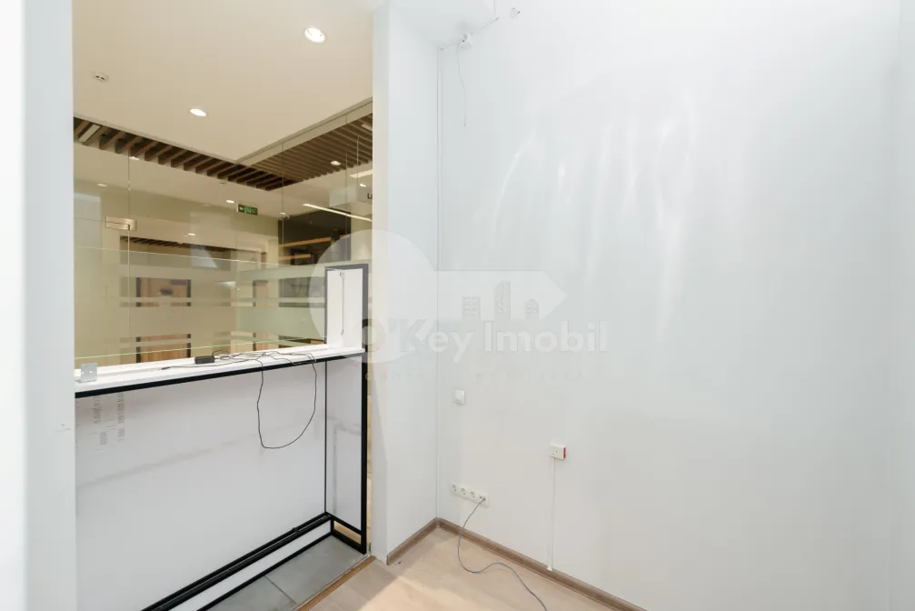 Офис, Ботаника, НИКОЛАЙ ЗЕЛИНСКИЙ