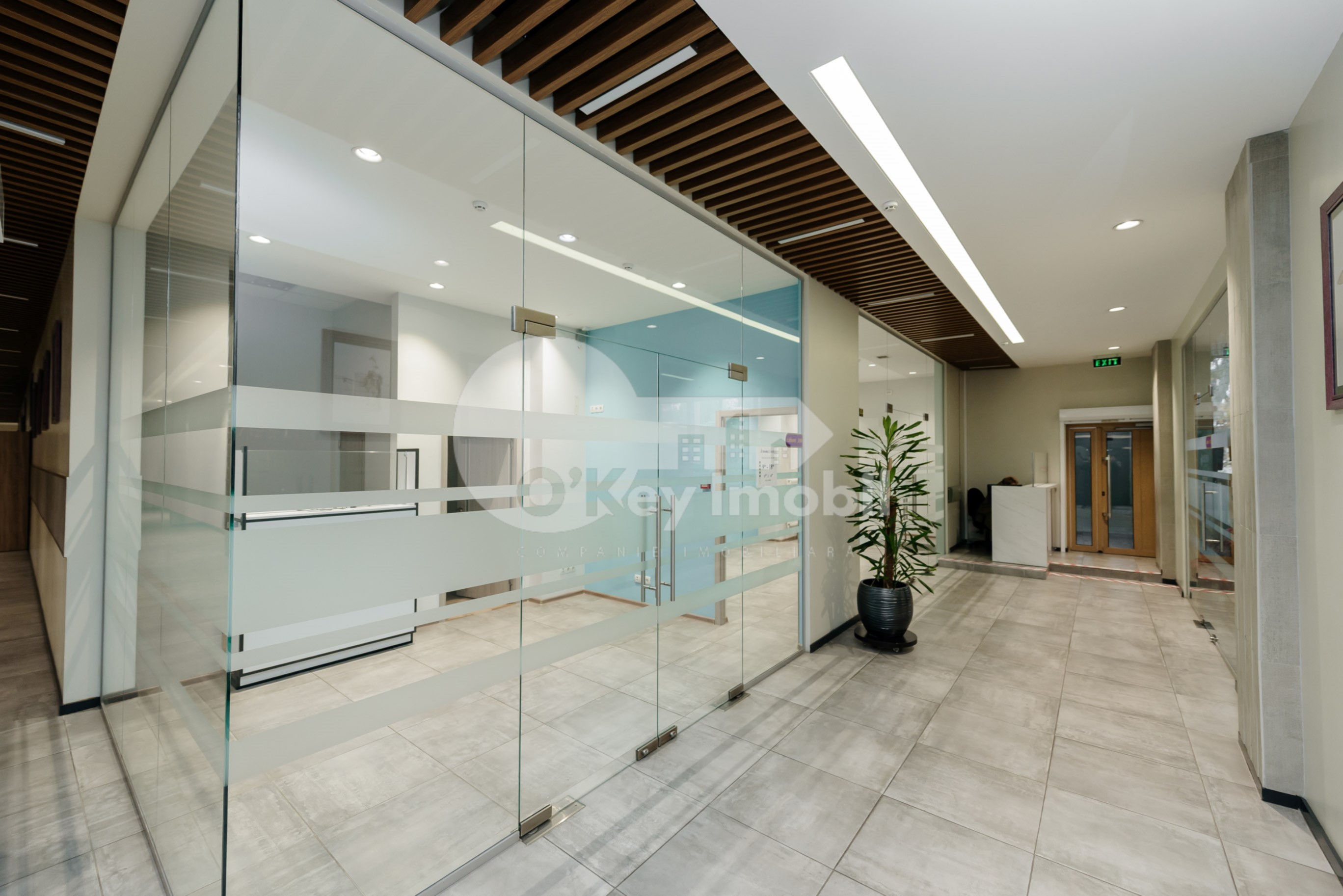 Oficiu, Botanica, NIKOLAI ZELINSKI