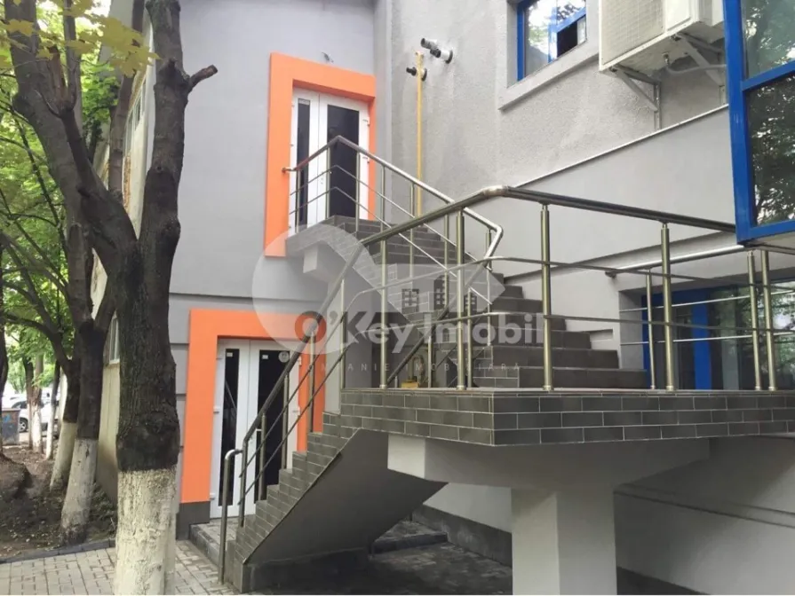 Офис, Ботаника, КУЗА ВОДЭ