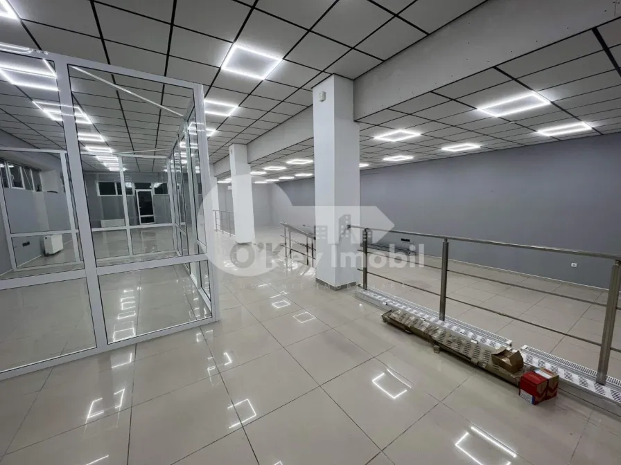 Офис, Ботаника, КУЗА ВОДЭ