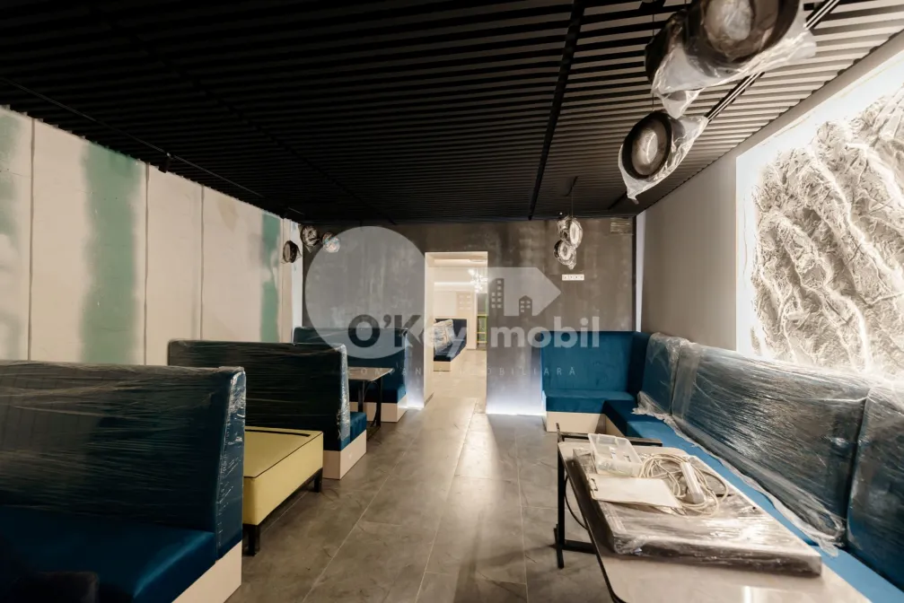 Комм. помещение, Центр, ПУШКИНА