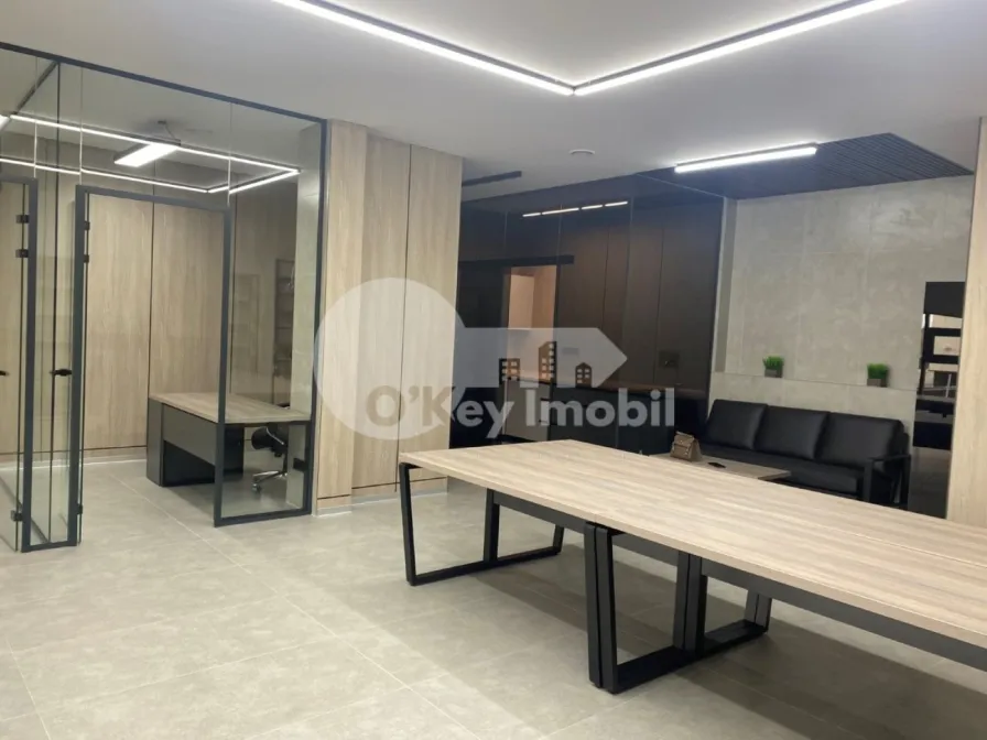 Офис, Чеканы, МИЛЕСКУ СПЭТАРУ