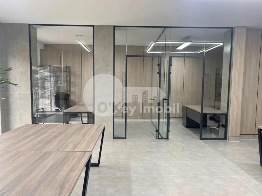 Офис, Чеканы, МИЛЕСКУ СПЭТАРУ