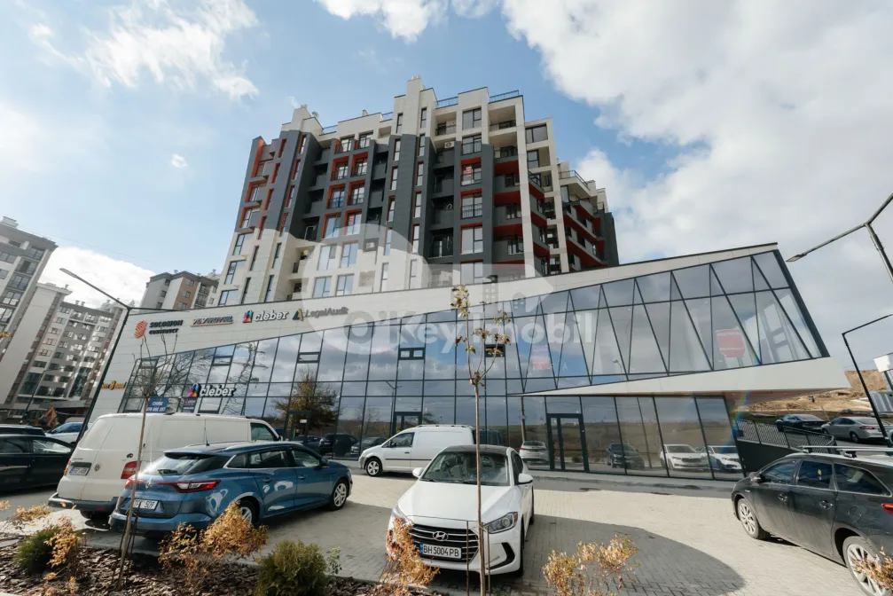 Офис, Чеканы, МИЛЕСКУ СПЭТАРУ