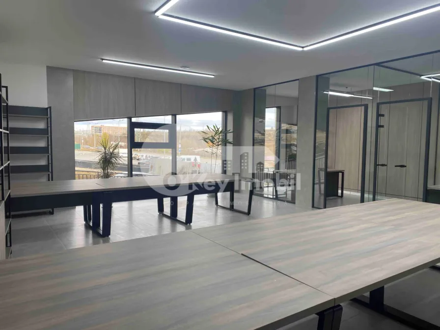 Офис, Чеканы, МИЛЕСКУ СПЭТАРУ