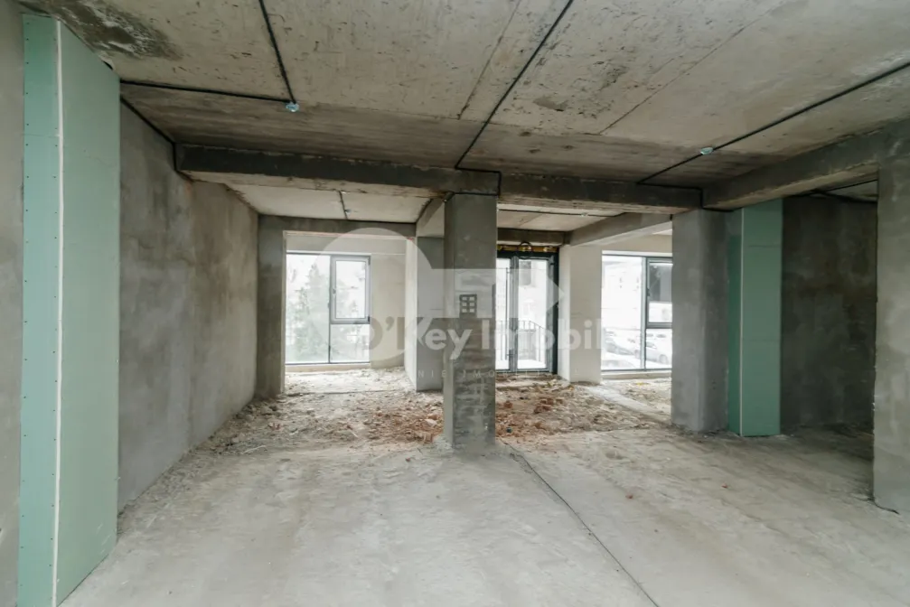 Комм. помещение, Центр, ШТЕФАН ЧЕЛ МАРЕ