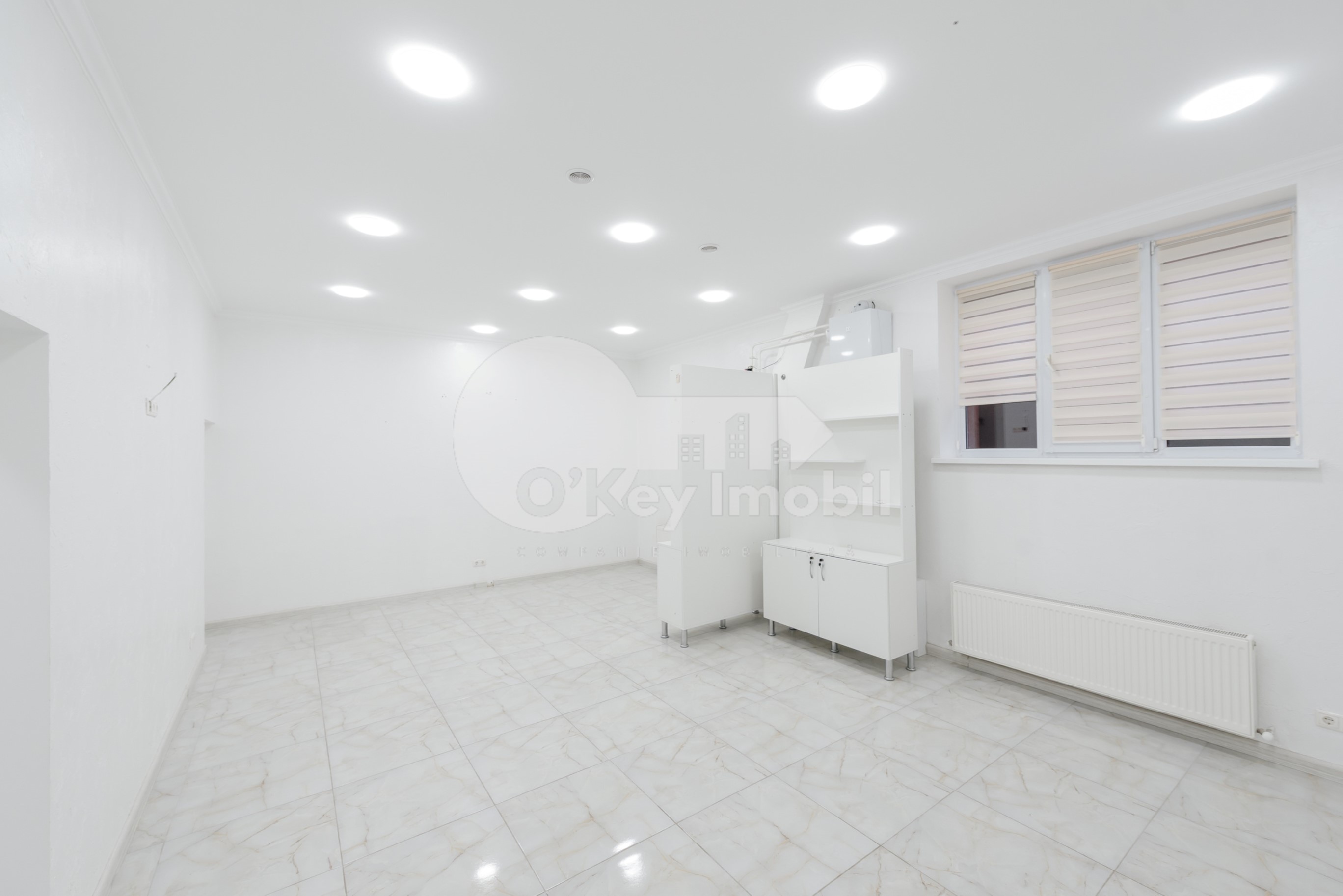 Spațiu comercial, Botanica, NIKOLAI ZELINSKI