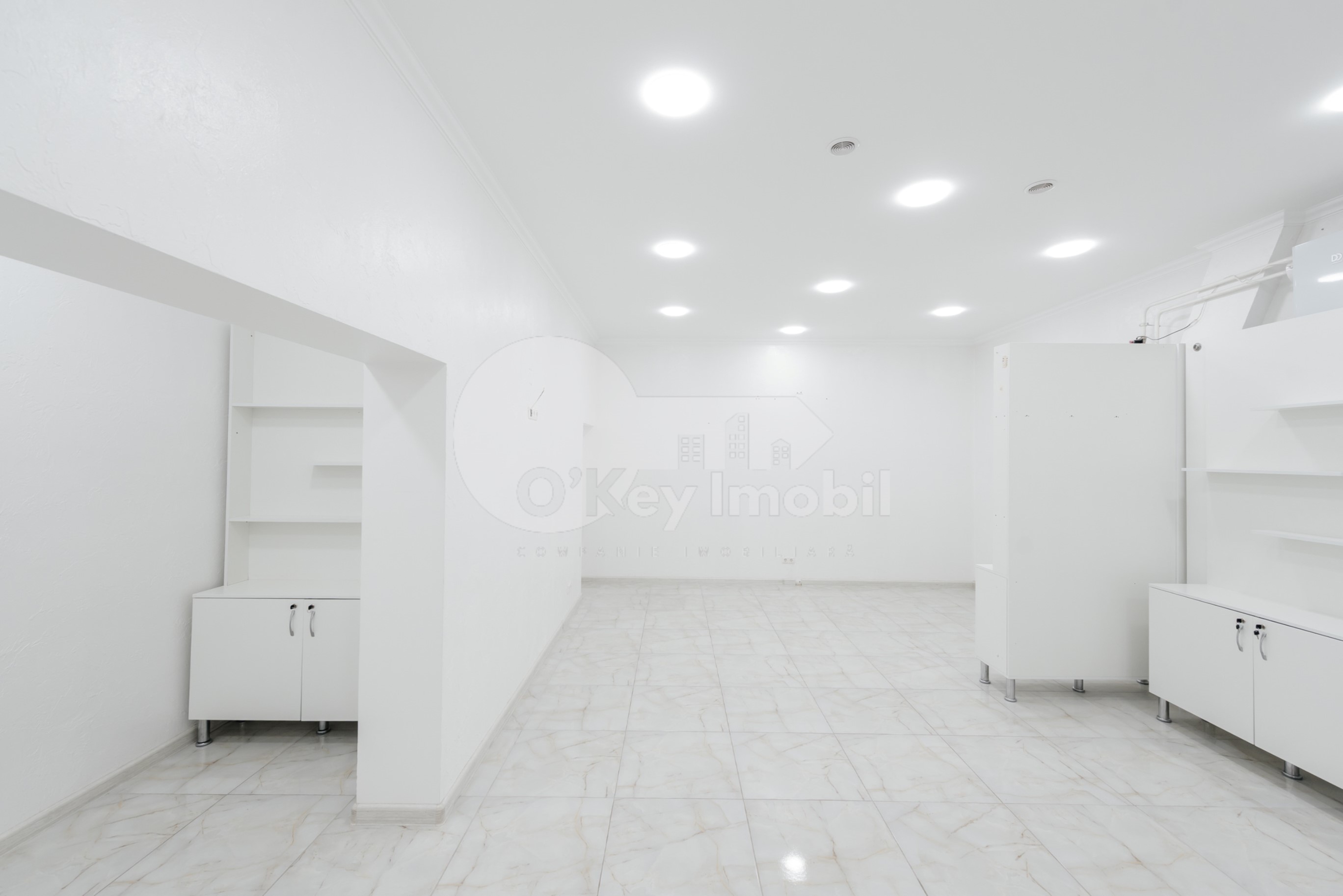 Spațiu comercial, Botanica, NIKOLAI ZELINSKI