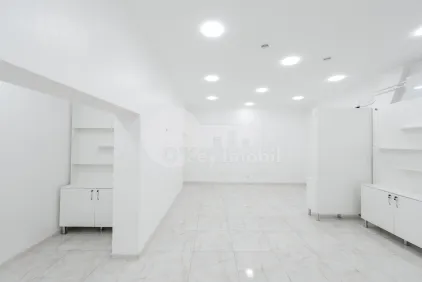 Комм. помещение, Ботаника, НИКОЛАЙ ЗЕЛИНСКИЙ