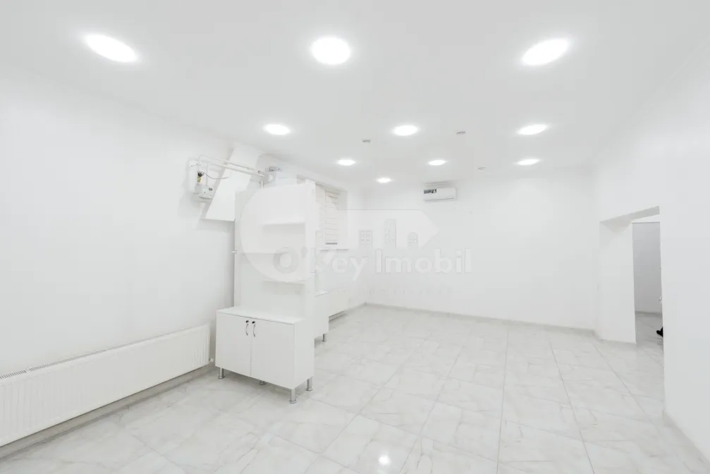 Комм. помещение, Ботаника, НИКОЛАЙ ЗЕЛИНСКИЙ