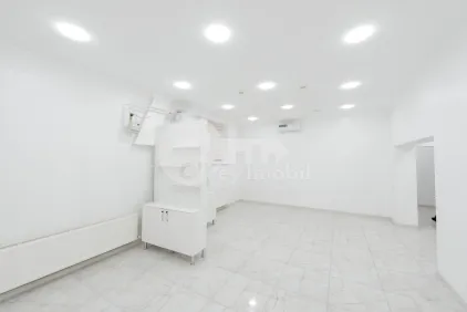 Комм. помещение, Ботаника, НИКОЛАЙ ЗЕЛИНСКИЙ