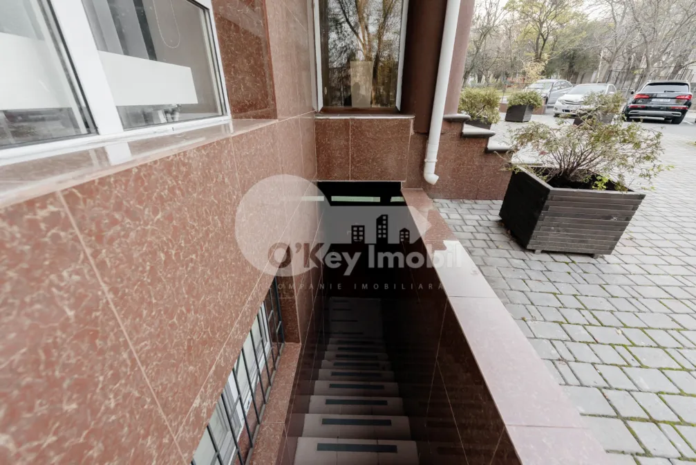 Комм. помещение, Ботаника, НИКОЛАЙ ЗЕЛИНСКИЙ