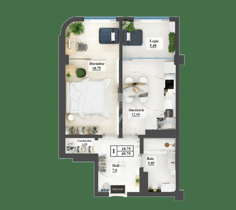 Apartament, Ciocana, ION DUMENIUC