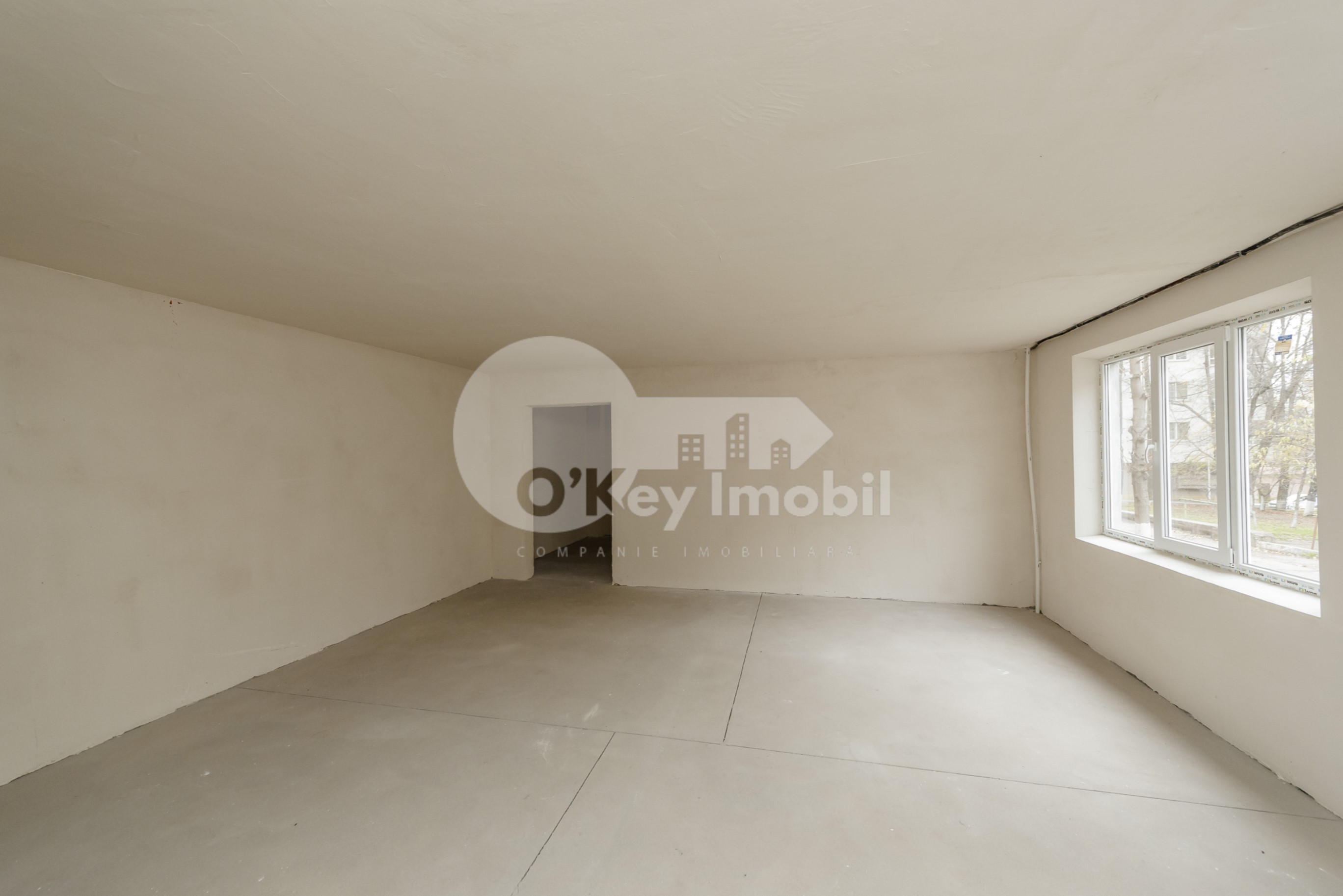 Квартира, Ботаника, САРМИЗЕДЖЕТУСА