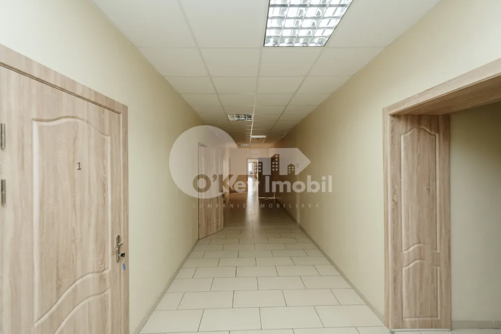 Oficiu, Centru, BĂNULESCU BODONI