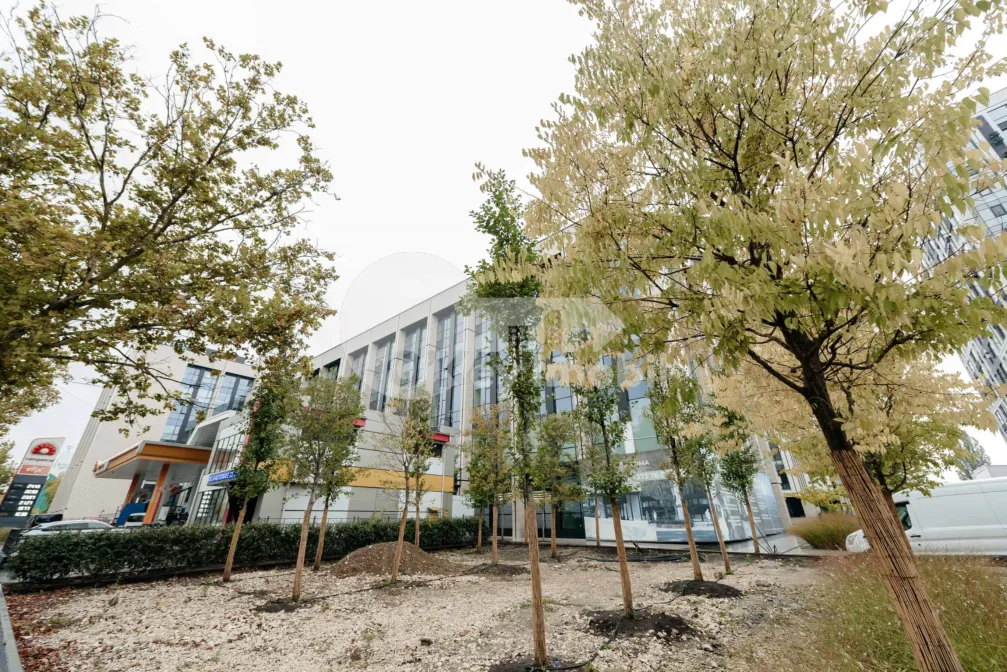 Oficiu, Buiucani, CALEA IEȘILOR