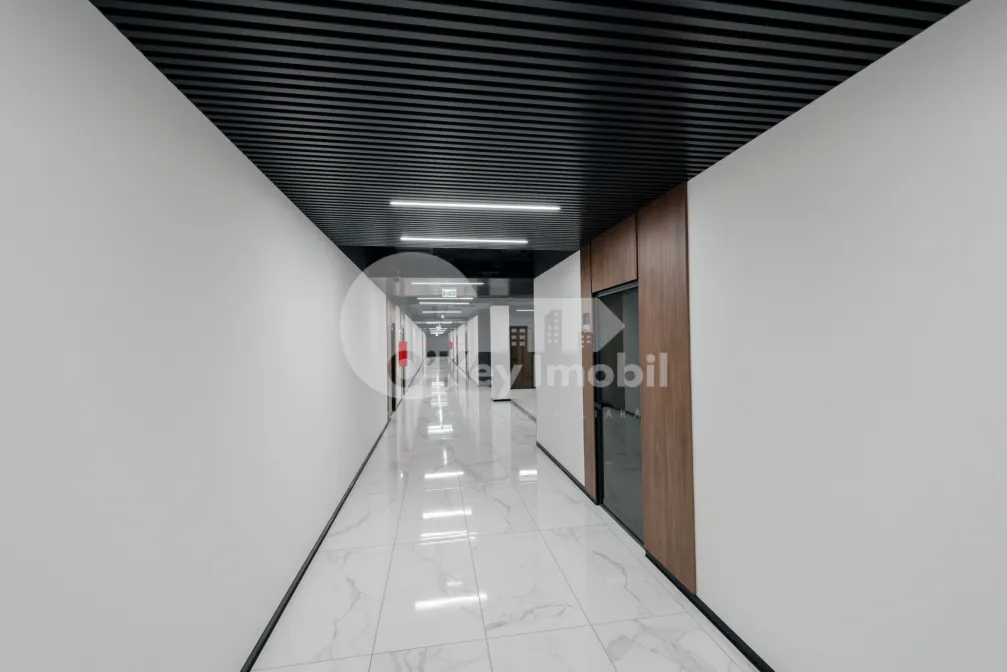 Oficiu, Buiucani, CALEA IEȘILOR