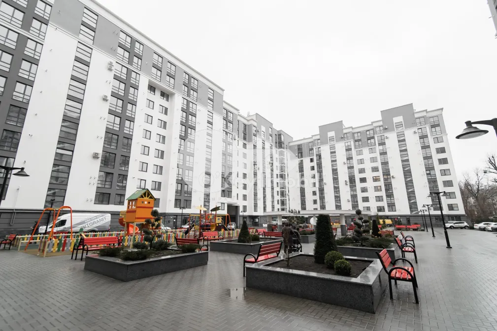 Квартира, Ботаника, ТРАНДАФИРИЛОР