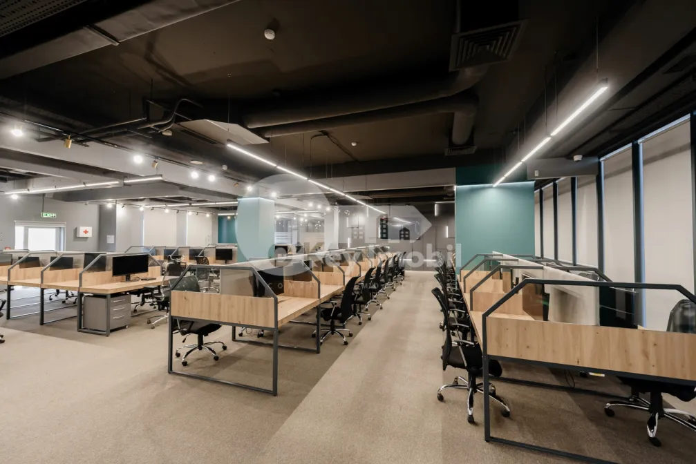 Офис, Ботаника, КОНСТАНТИН БРЫНКУШ