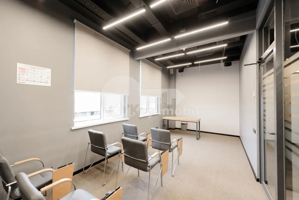 Oficiu, Botanica, CONSTANTIN BRÂNCUȘI