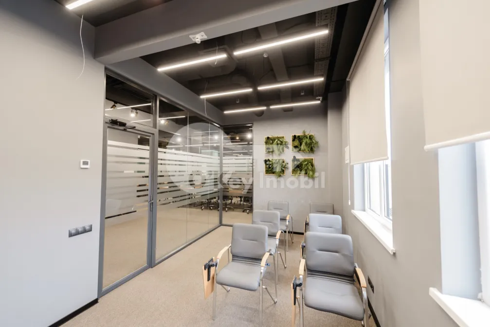 Oficiu, Botanica, CONSTANTIN BRÂNCUȘI