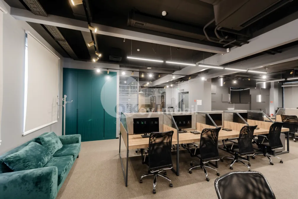 Офис, Ботаника, КОНСТАНТИН БРЫНКУШ