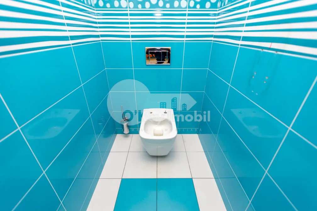 Oficiu, Centru, MIHAI VITEAZUL