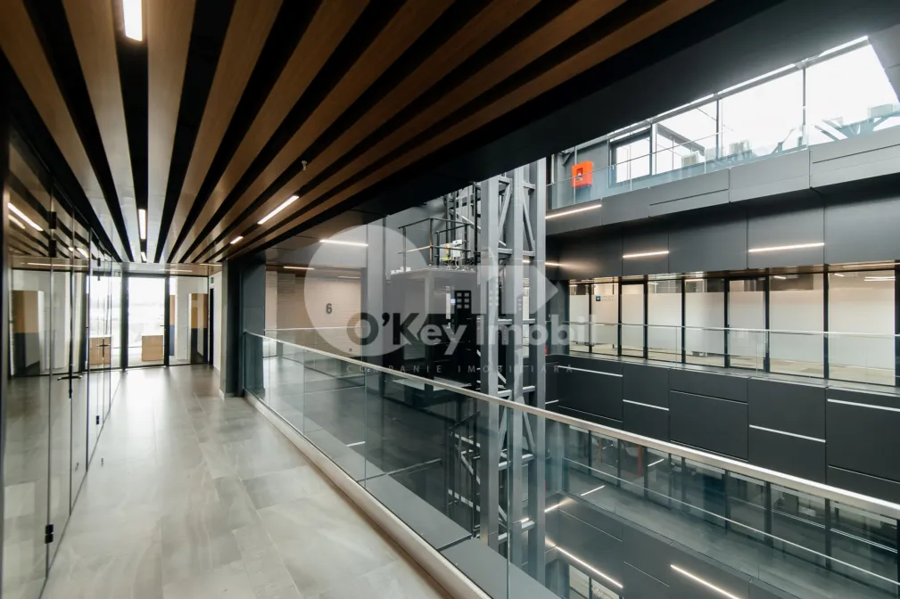 Офис, Центр, МИХАЙ ВИТЯЗУЛ