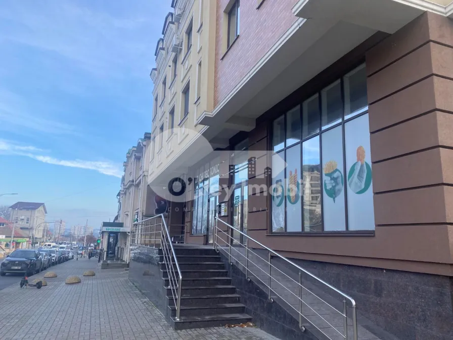 Spațiu comercial, Centru, VASILE ALECSANDRI