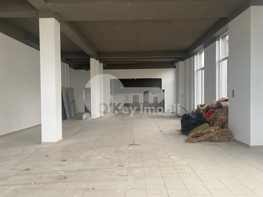 Spațiu comercial, Centru, VASILE ALECSANDRI