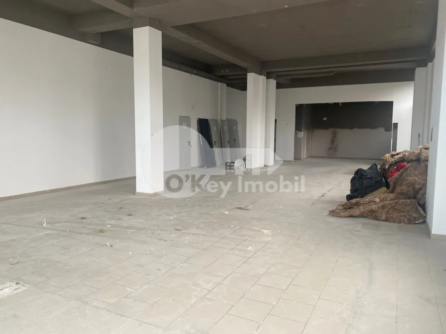 Spațiu comercial, Centru, VASILE ALECSANDRI