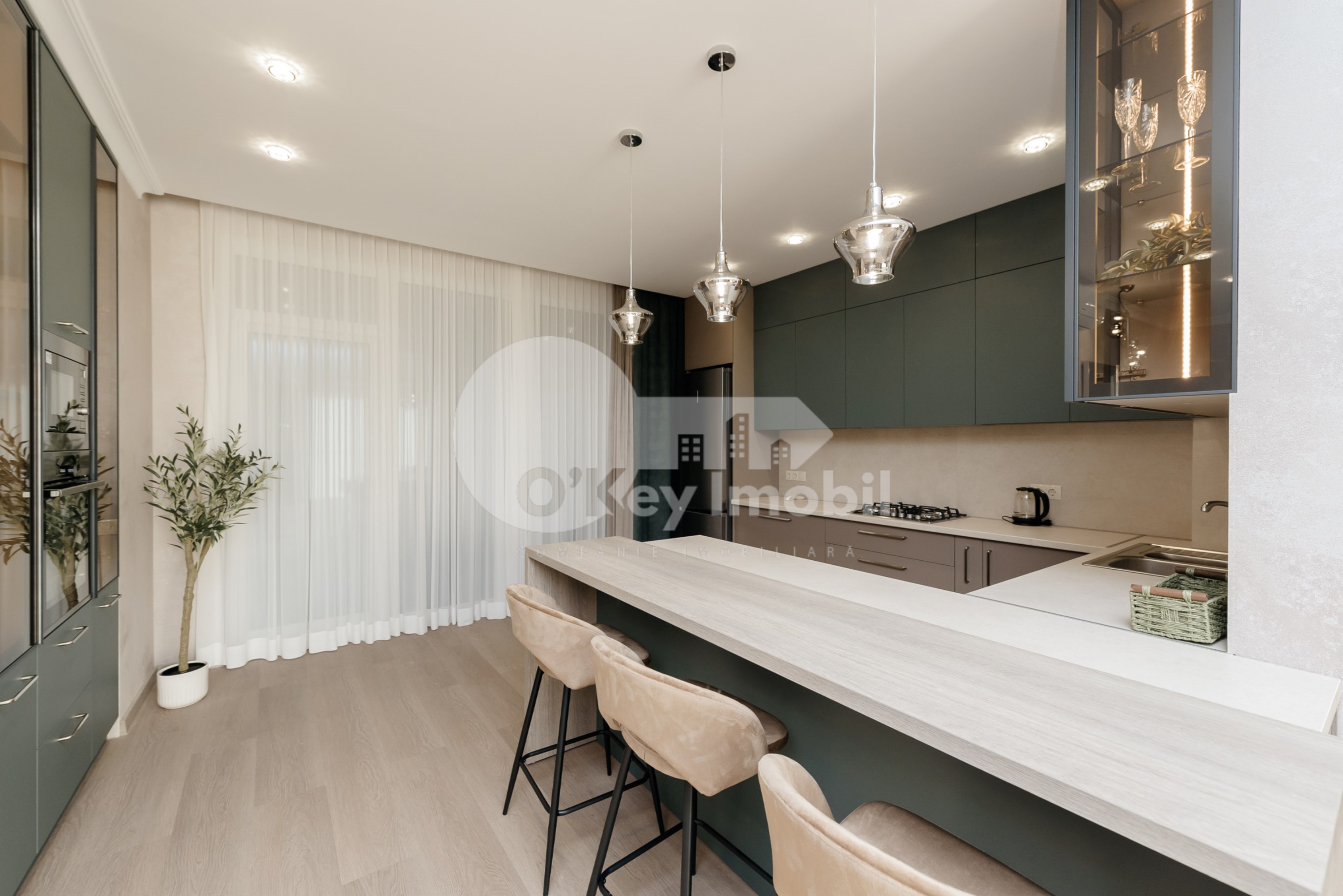 Townhouse, Botanica, PĂȘUNILOR