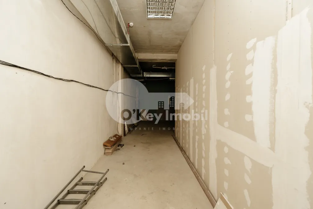 Spațiu comercial, Râșcani, PETRICANI