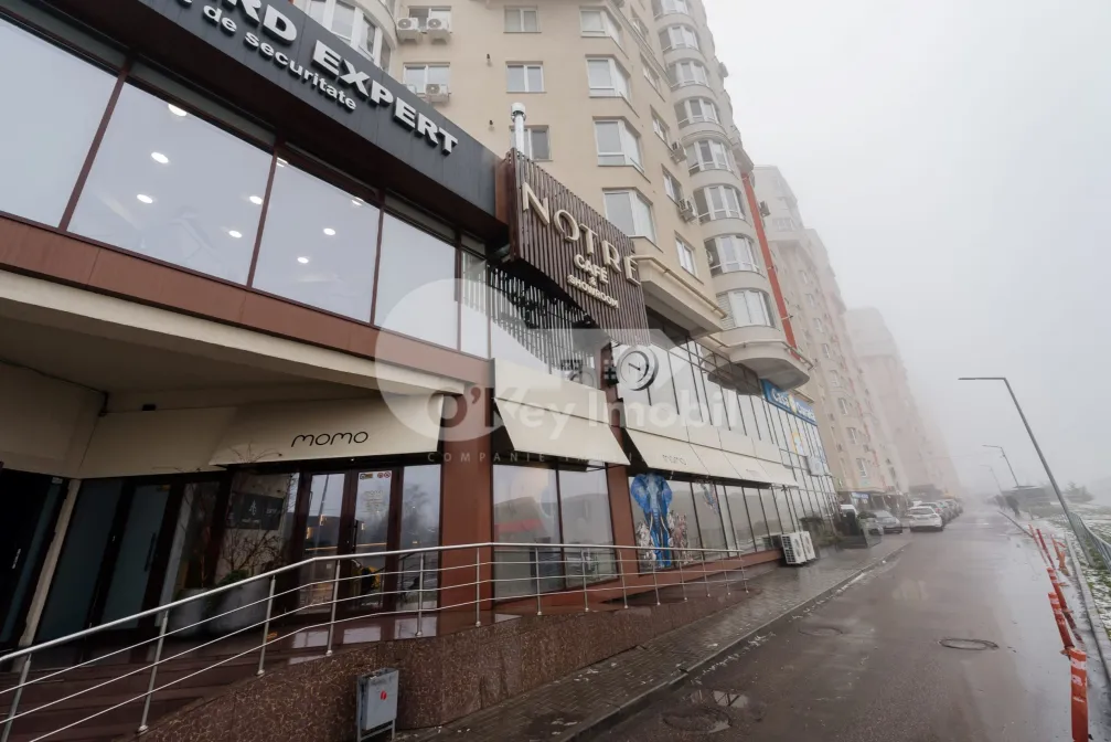 Oficiu, Centru, NICOLAE TESTEMIȚANU