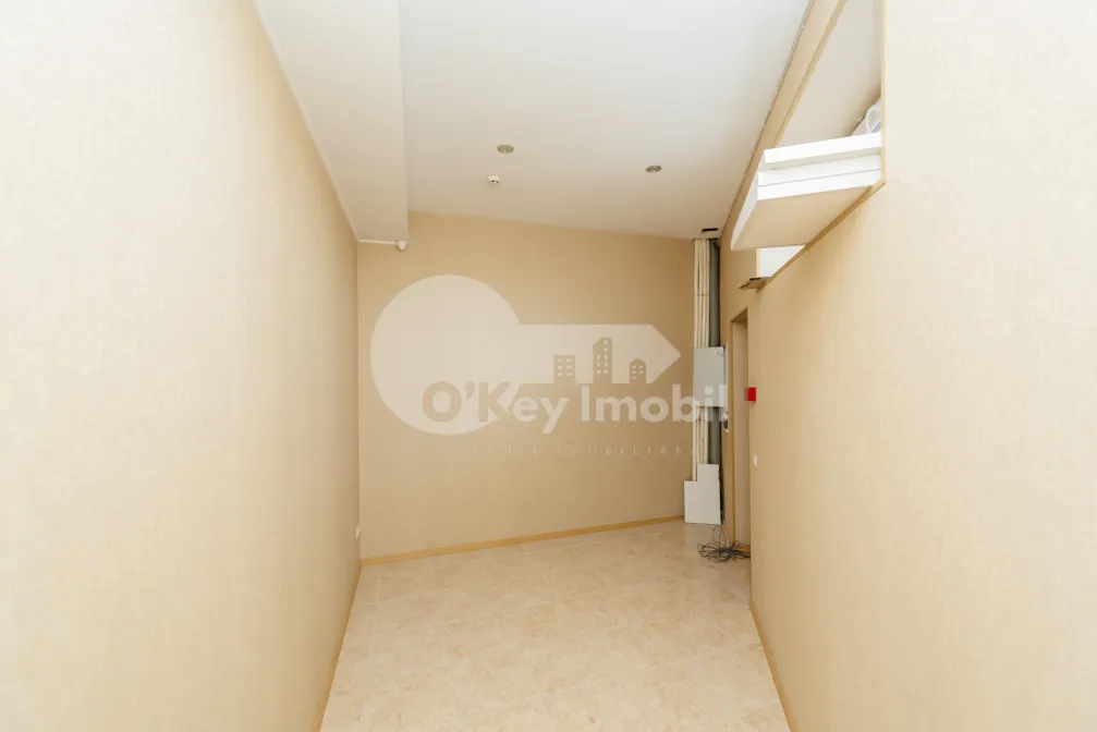 Spațiu comercial, Centru, MELESTIU