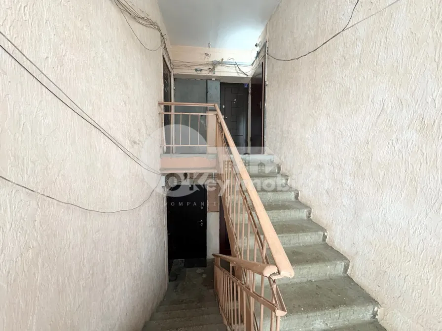 Квартира, Ботаника, НИКОЛАЕ ТИТУЛЕСКУ