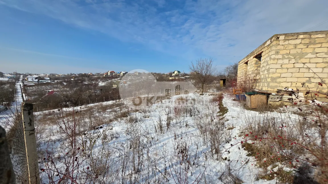 Земельный участок, ЧЕКАНЫ