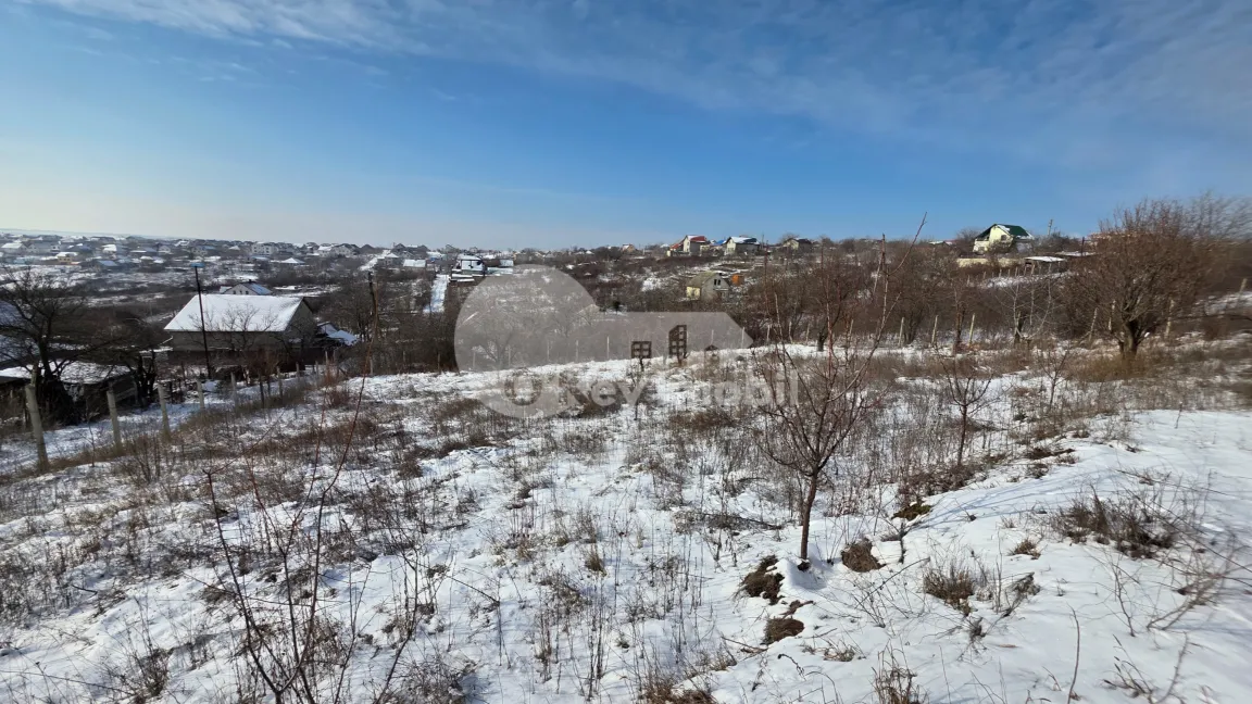 Земельный участок, ЧЕКАНЫ