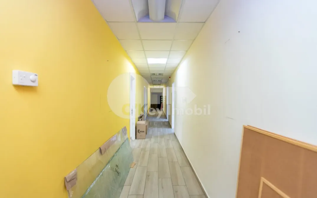 Oficiu, Centru, MIHAI VITEAZUL