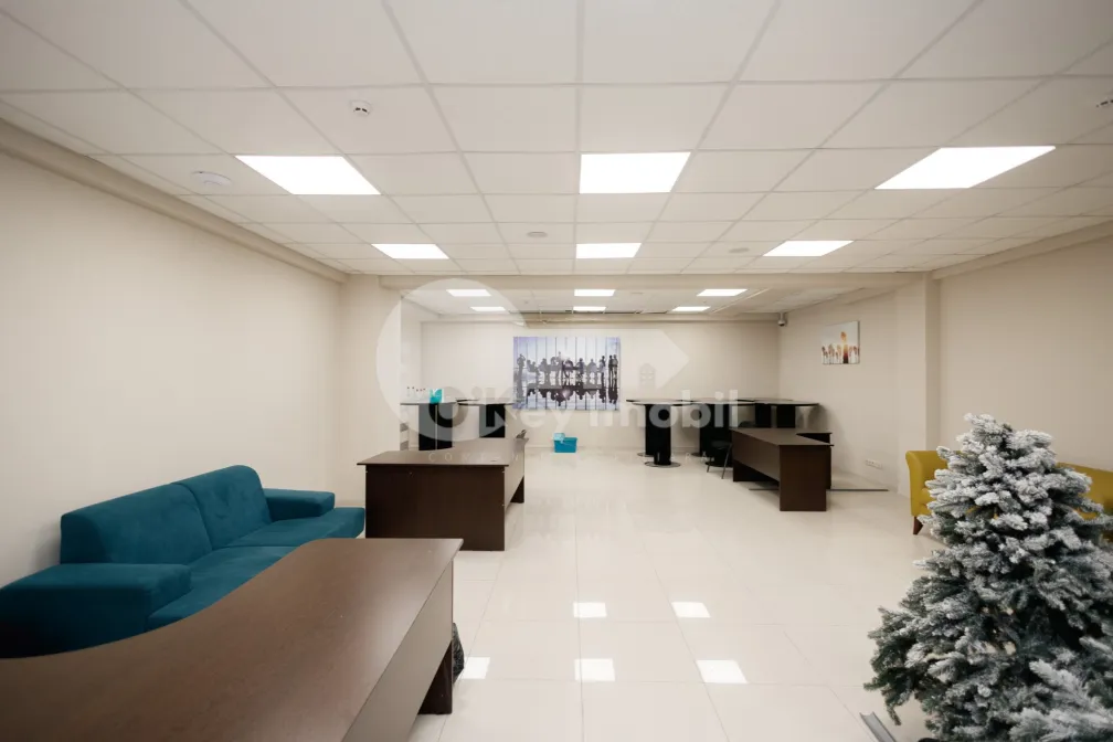 Oficiu, Botanica, DECEBAL