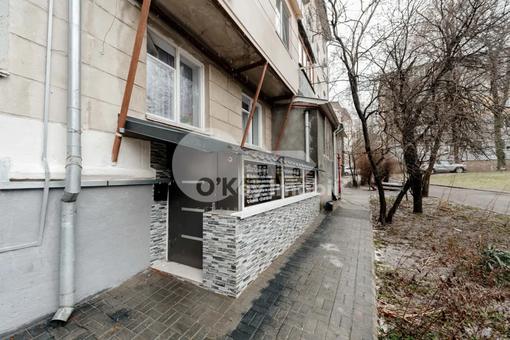 Spațiu comercial, Botanica, TEILOR