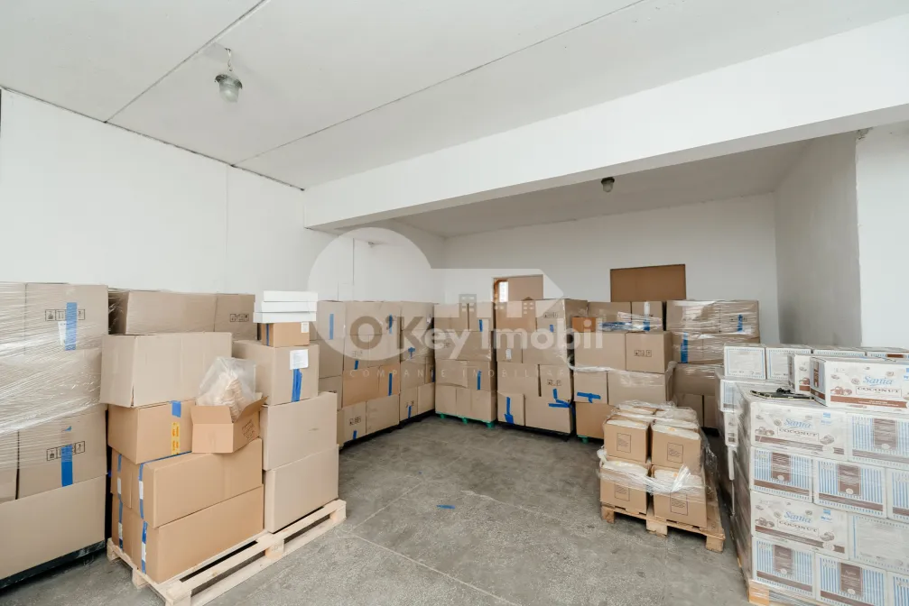 Depozit, Botanica, BUREBISTA