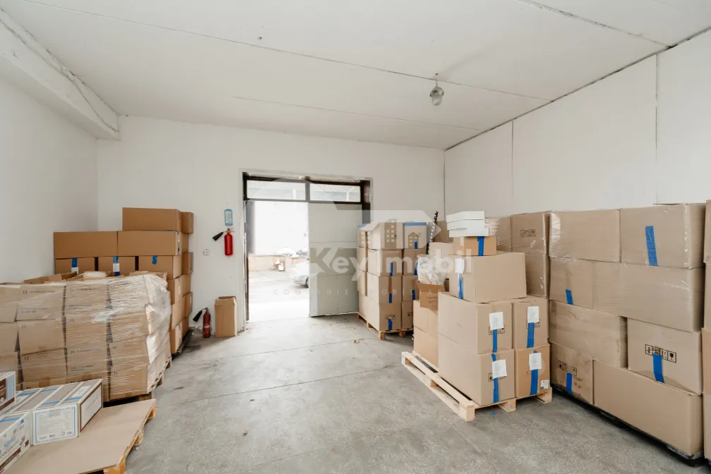 Depozit, Botanica, BUREBISTA