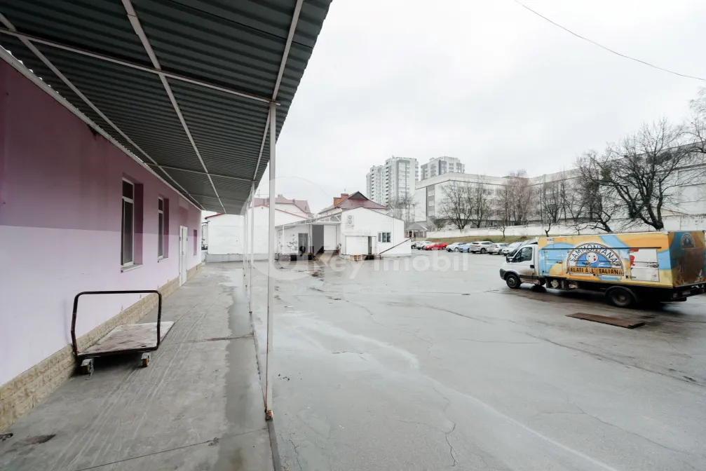 Depozit, Botanica, BUREBISTA