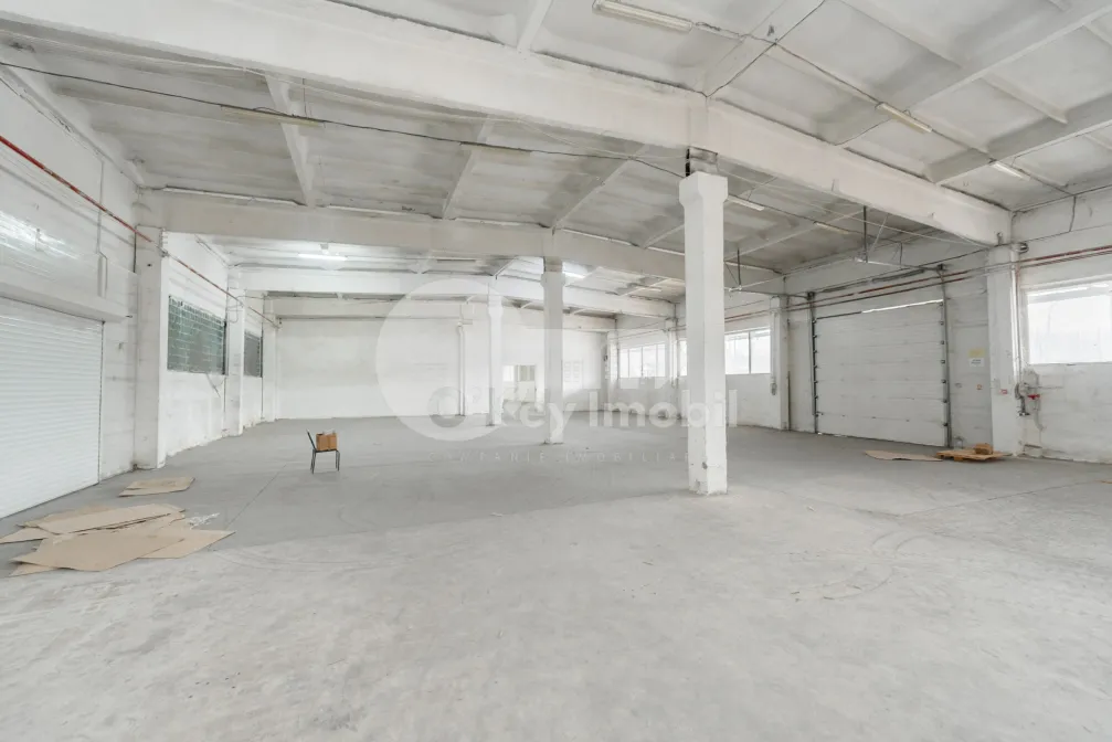 Склад, Ботаника, МУНЧЕШТЬ