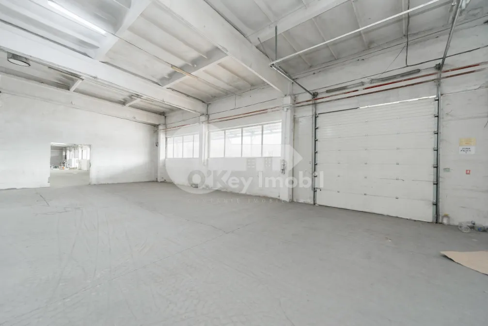 Склад, Ботаника, МУНЧЕШТЬ